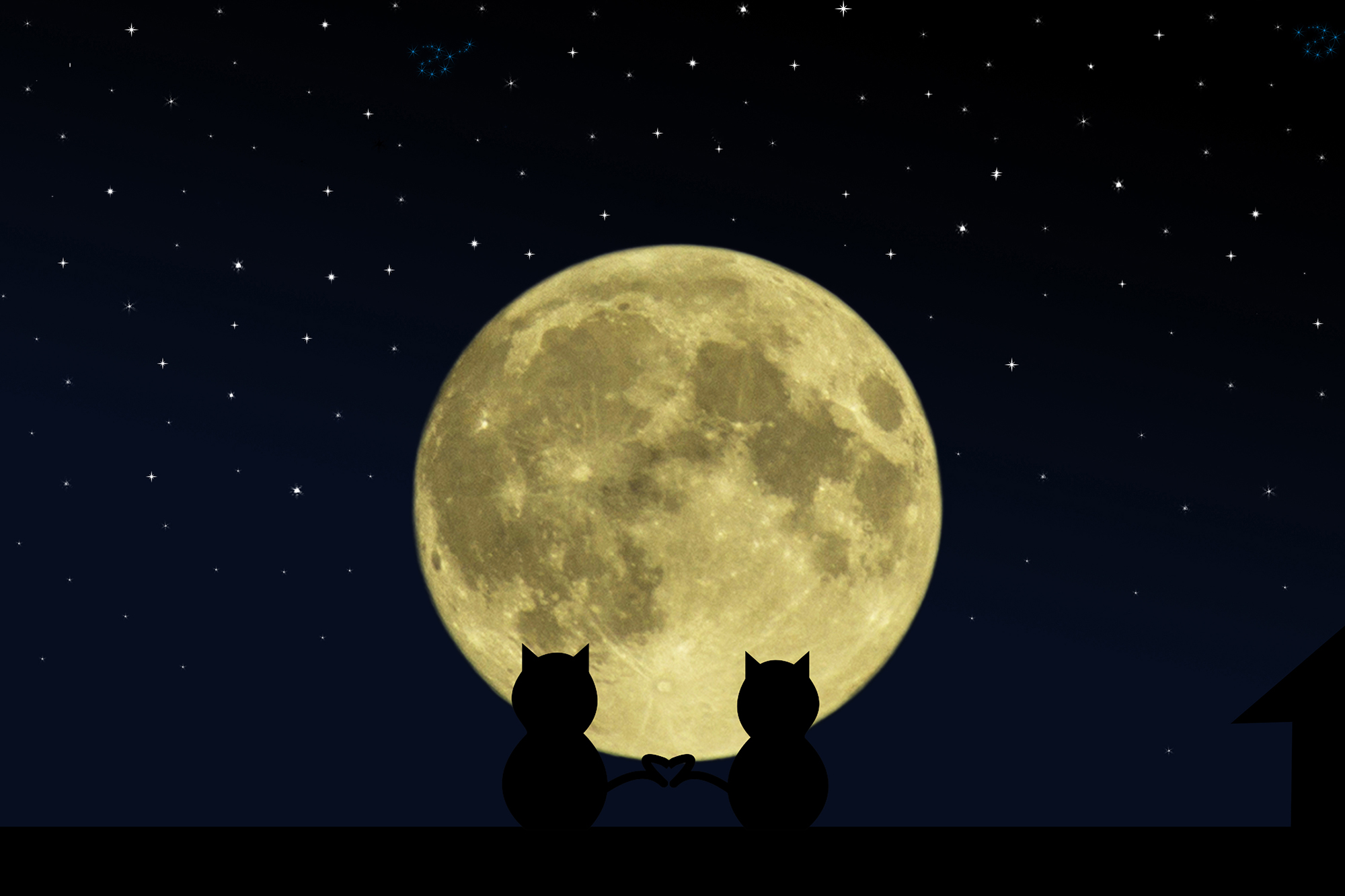 Кот Луна ночной с двумя хвостами