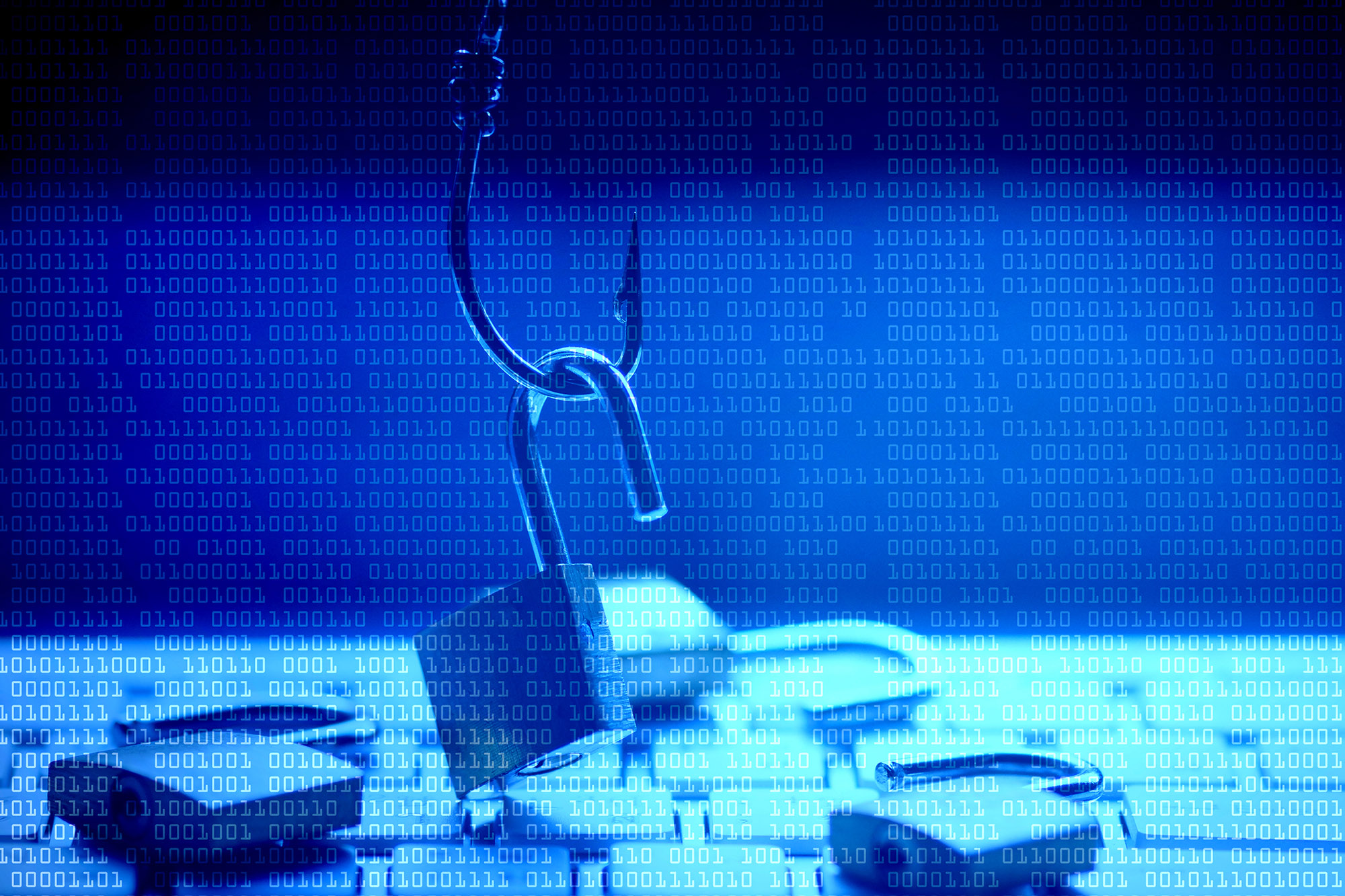 Фишинг и DDoS стали главными угрозами для российского бизнеса